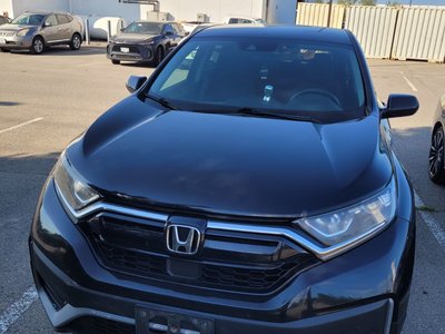 2020 Honda CR-V in Bolton, Ontario