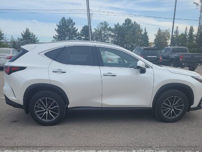 2022 Lexus NX in Bolton, Ontario