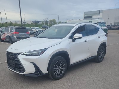 2022 Lexus NX in Bolton, Ontario
