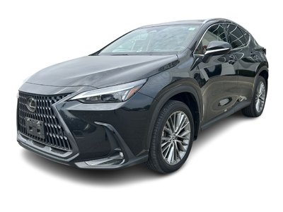 2022 Lexus NXH in Bolton, Ontario