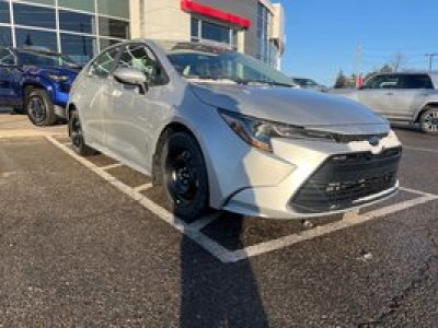 2026 Toyota Corolla in Bolton, Ontario