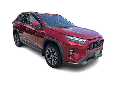 Toyota RAV4 Hybrid  2024 à Bolton, Ontario