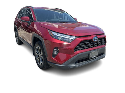 Toyota RAV4 Hybrid  2024 à Bolton, Ontario