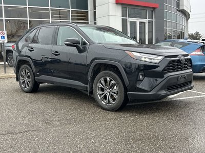 2025 Toyota RAV4 Hybrid in Bolton, Ontario