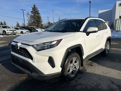 2025 Toyota RAV4 in Bolton, Ontario