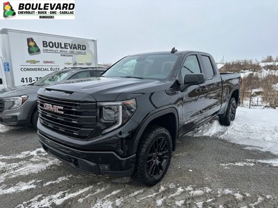 2023 GMC Sierra 1500 CABINE DOUBLE