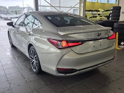 2025  ES in Vancouver, British Columbia