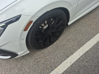 2025 Volkswagen Golf R in Calgary, Alberta