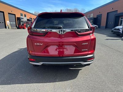 2022 Honda CR-V in Calgary, Alberta