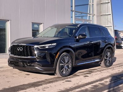 2024 Infiniti QX60 in Calgary, Alberta