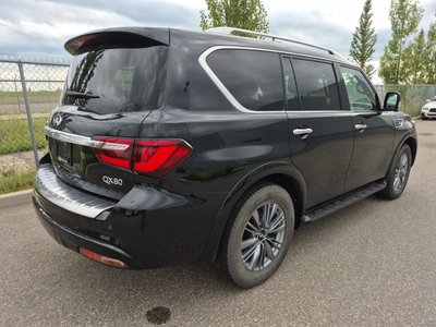 Infiniti QX80  2024 à Calgary, Alberta