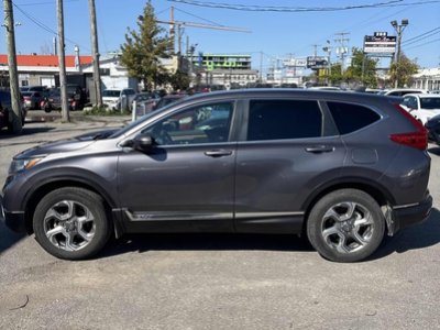 2019 Honda CR-V in Calgary, Alberta