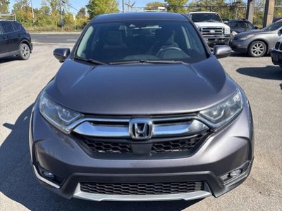 2019 Honda CR-V in Calgary, Alberta