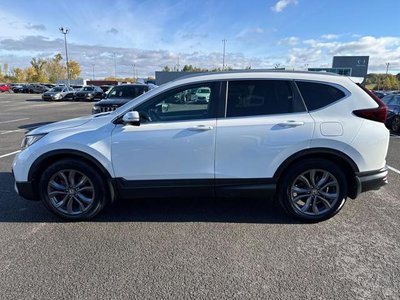 2020 Honda CR-V in Calgary, Alberta