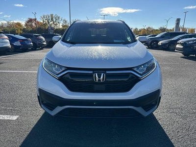 2020 Honda CR-V in Calgary, Alberta