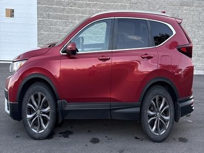 Honda CR-V  2021 à Calgary, Alberta