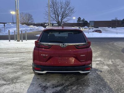 2021 Honda CR-V in Calgary, Alberta