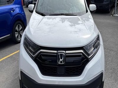 Honda CR-V  2022 à Calgary, Alberta