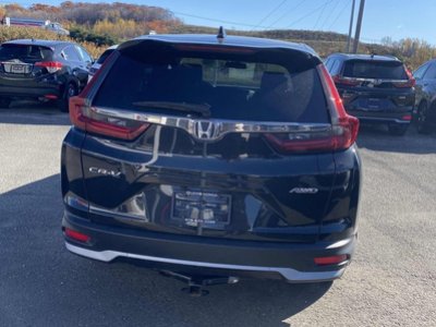 2022 Honda CR-V in Calgary, Alberta