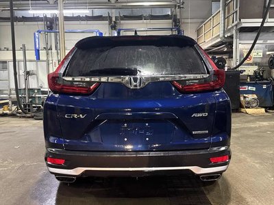 Honda CR-V  2022 à Calgary, Alberta