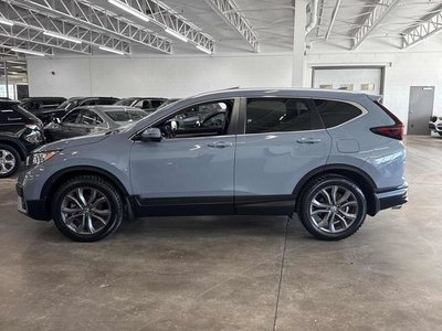 Honda CR-V  2022 à Calgary, Alberta