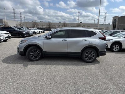 Honda CR-V  2022 à Calgary, Alberta