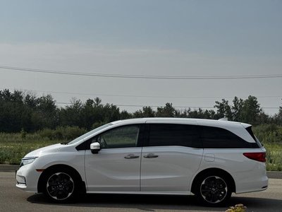 2024 Honda Odyssey in Calgary, Alberta