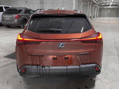 2022 Lexus UXh in Calgary, Alberta