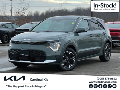 Niro EV