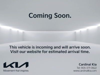 Niro EV