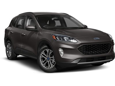 2020 Ford Escape SEL | Leather | Heated Seats | Cam Clean Carfax | One Owner