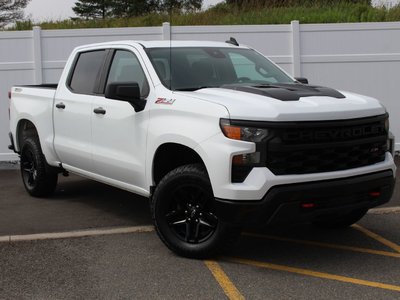 2022 Chevrolet Silverado 1500 Custom Trail Boss | Cam | USB | Bluetooth | XM Clean Carfax | Dealer Serviced | One-Owner