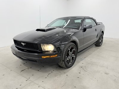 Mustang
