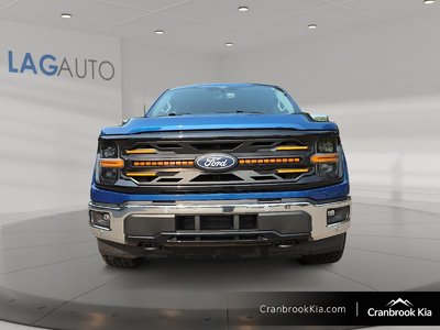 2024 Ford F-150 XLT — photo 2