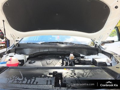 2024 Kia Sorento LX — photo 8
