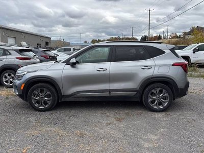 2024 Kia Seltos in Regina, Saskatchewan