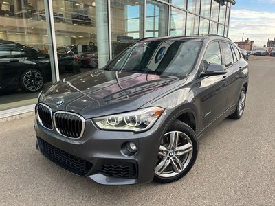 2017 BMW X1 in Regina, Saskatchewan
