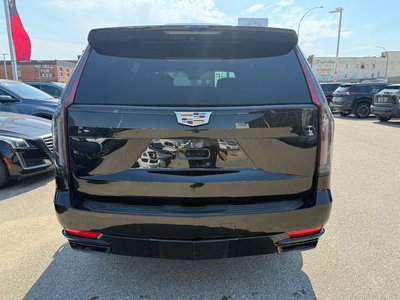 2023 Cadillac Escalade in Regina, Saskatchewan