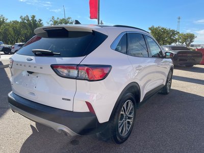 Ford Escape  2021 à Regina, Saskatchewan