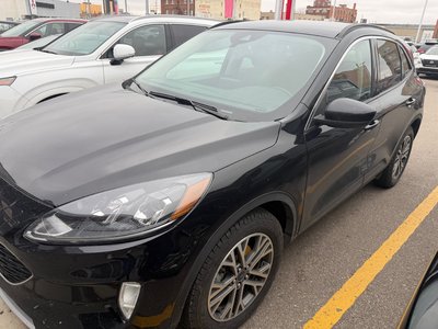 2021 Ford Escape in Regina, Saskatchewan