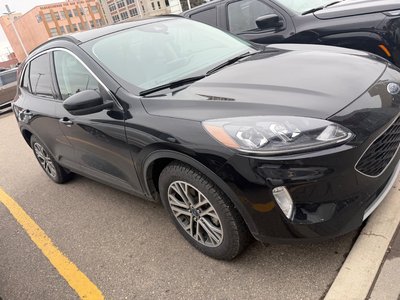 2021 Ford Escape in Regina, Saskatchewan
