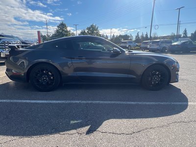 Ford Mustang  2019 à Bolton, Ontario