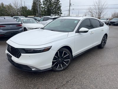 2023 Honda Accord in Markham, Ontario