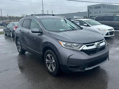 2019 Honda CR-V in Regina, Saskatchewan
