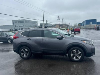 2019 Honda CR-V in Regina, Saskatchewan