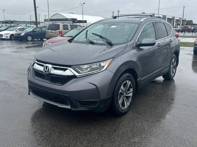 2019 Honda CR-V in Regina, Saskatchewan