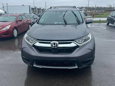 2019 Honda CR-V in Regina, Saskatchewan