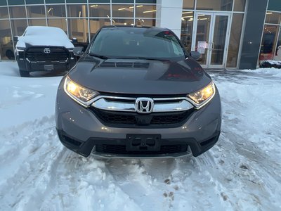2019 Honda CR-V in Bolton, Ontario