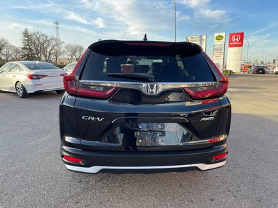 2020 Honda CR-V in Regina, Saskatchewan