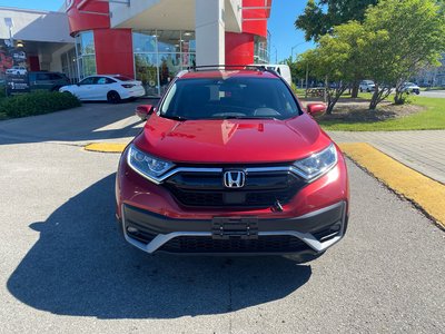 2020 Honda CR-V in Markham, Ontario
